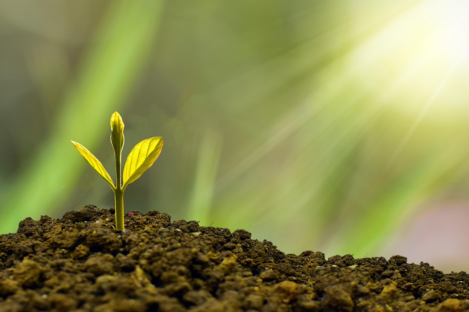 Savings vs. Investments: Finding the Right Balance for Your Retirement Fund